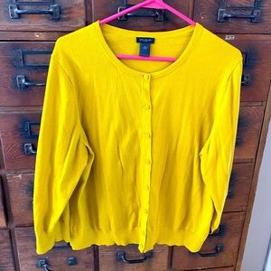 Ann Taylor cardigan